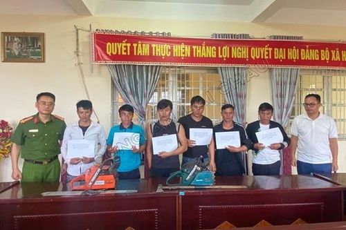 Lai Châu tạm giữ hình sự 8 đối tượng phá rừng phòng hộ