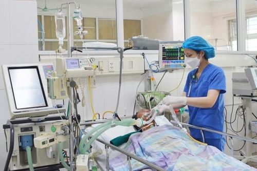 Ngộ độc khi ăn so biển, hai người dân tại Quảng Ninh rơi vào tình trạng nguy kịch