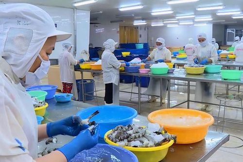 Tổ công tác đặc biệt Cà Mau gỡ khó cho doanh nghiệp để phát triển