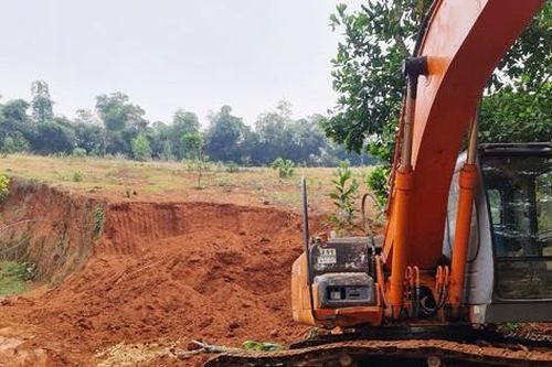 Hà Nội: Khẩn trương rà soát hiện trạng rừng và đất lâm nghiệp, xử lý nghiêm nếu vi phạm