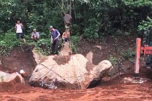 Xôn xao tảng đá hình con rùa được trả giá 1 tỷ đồng ở Nghệ An