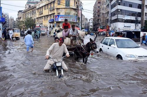 Mưa gió làm 27 người thiệt mạng tại Pakistan