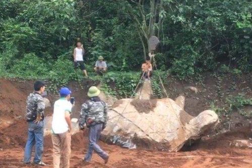 Xôn xao vụ đào tảng đá có hình giống con rùa được trả giá hơn 1 tỷ đồng