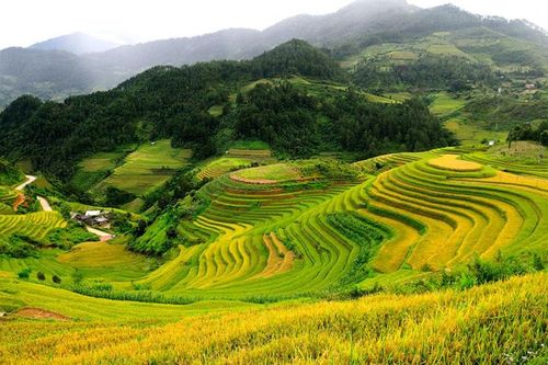'Ghé thăm' ngọn đồi đẹp nhất trung du miền núi phía Bắc