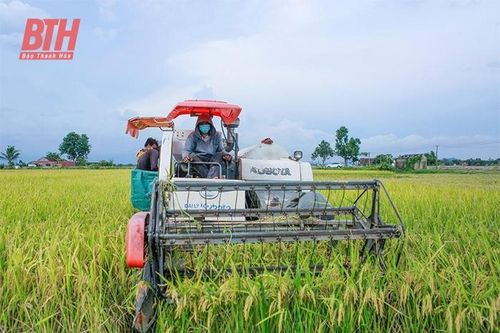 Vụ lúa xuân 2023 được mùa trên nhiều phương diện