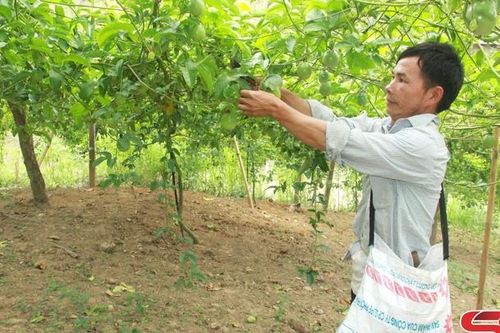 Về Mường Lựm hôm nay
