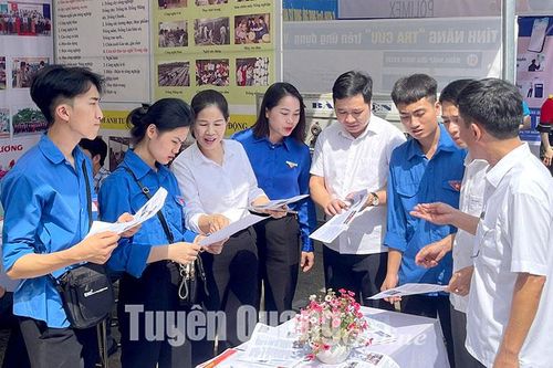 Hơn 1.000 người tham gia Phiên giao dịch việc làm huyện Sơn Dương