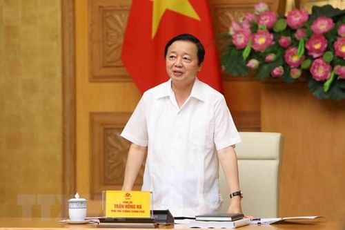 Sớm hoàn thiện cơ chế khuyến khích lắp đặt điện mặt trời mái nhà