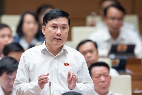 ĐBQH Lê Hoàng Anh (Gia Lai): Tập đoàn tài chính phải được đặt dưới sự giám sát chặt chẽ của Chính phủ