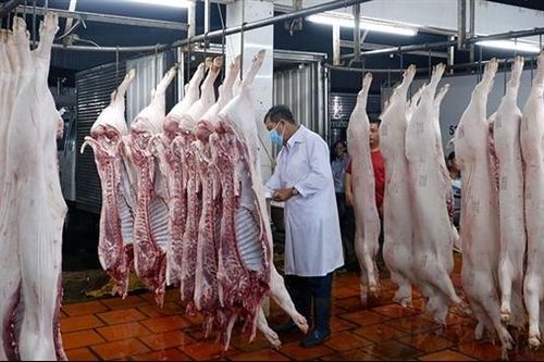 Vì sao doanh nghiệp ngại đầu tư cơ sở giết mổ gia súc?