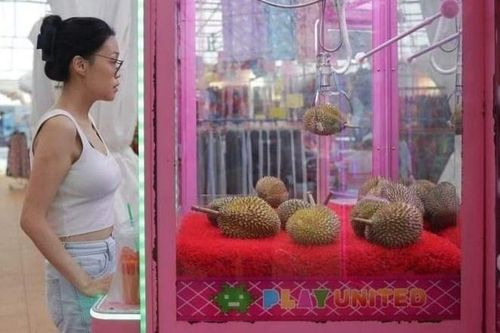 Máy gắp sầu riêng thay máy gắp thú bông ở Singapore