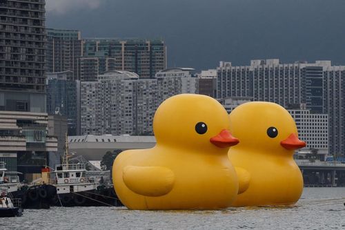 Vịt bơm hơi khổng lồ 'hồi sinh' ở Hong Kong