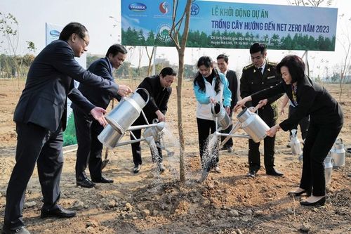 Đẩy mạnh vai trò của doanh nghiệp trong bảo vệ môi trường