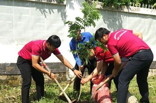 EVNHCMC: Triển khai nhiều hoạt động vì môi trường