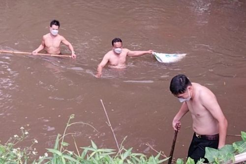 Đồng Nai: Vớt heo chết, xử lý ô nhiễm ở suối Râm