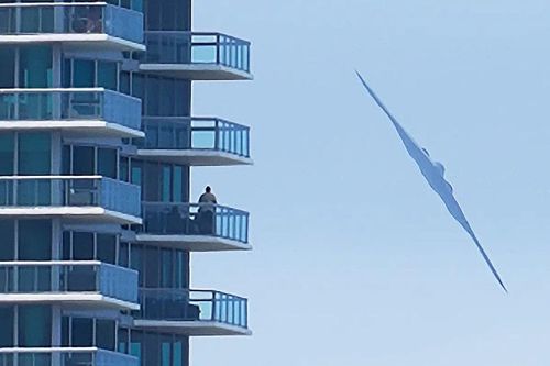 Video B-2 Spirit gây ngạc nhiên khi lướt qua cao ốc như chim