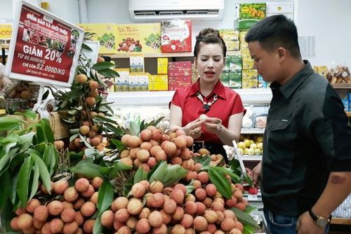 Trái vải thiều Hải Dương sẵn sàng 'xuất ngoại'