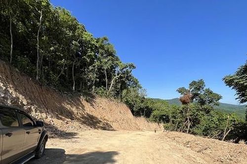Thi công cao tốc, tự ý ủi luôn rừng: Chủ đầu tư nói 'bất ngờ' với vi phạm của nhà thầu
