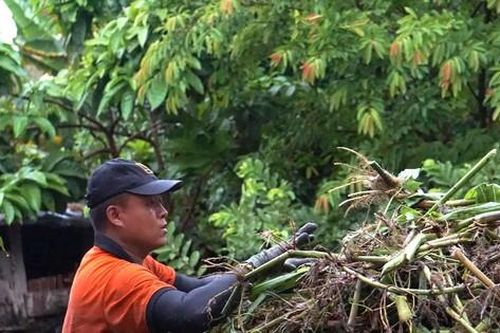 Tố 'đen' chuyên lo chuyện bao đồng