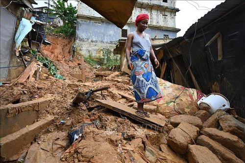 Lở đất ở Côte d'Ivoire, 5 người thiệt mạng