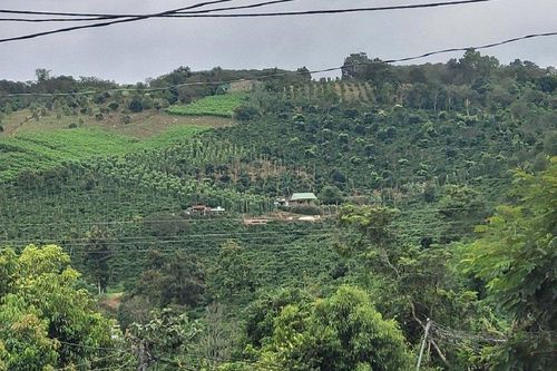 Thu hồi hơn 200ha đất cho doanh nghiệp thuê nhưng không sử dụng