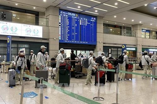 Những chính sách mới của Hàn Quốc đối với lao động Việt Nam