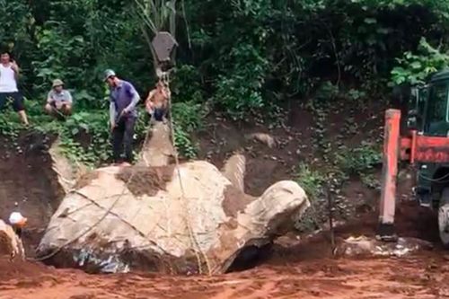 Ly kì người đàn ông ở Nghệ An đào được tảng đá hình con rùa: Có người trả 1 tỷ đồng