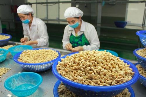 Thị trường Australia và những lưu ý cho doanh nghiệp Việt