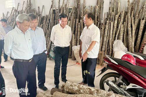 Đồng Nai ít doanh nghiệp khoa học - công nghệ