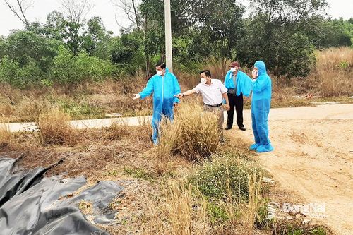 'Chìa khóa' để phát triển chăn nuôi bền vững (Bài 1)