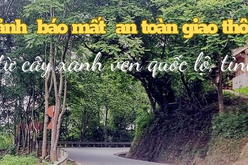 Cảnh báo mất an toàn giao thông từ cây xanh ven quốc lộ, tỉnh lộ