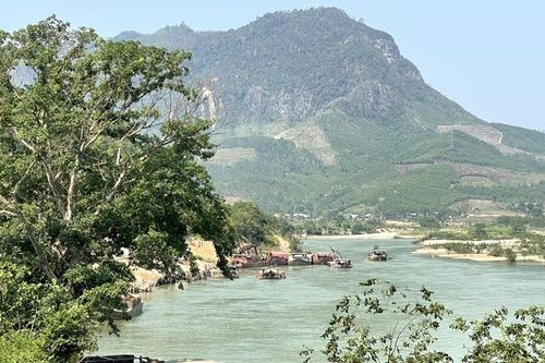 Quảng Nam: Kêu gọi cộng đồng tham gia đề án trồng 1 tỷ cây xanh