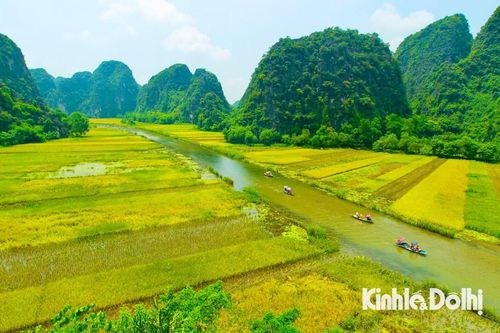 Ngắm nhìn vẻ đẹp lung linh sắc vàng tại Tam Cốc – Tràng An