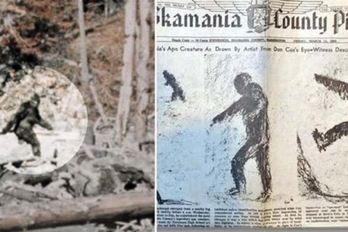 Giả thuyết sốc: 'Quái vật Bigfoot là hậu duệ của người ngoài hành tinh'