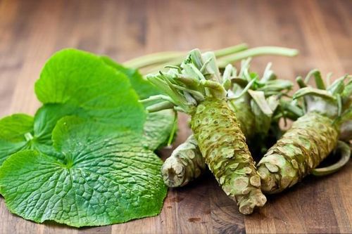 Bật mí loại 'rau cải' 6 triệu/kg, có tiền chưa chắc mua được