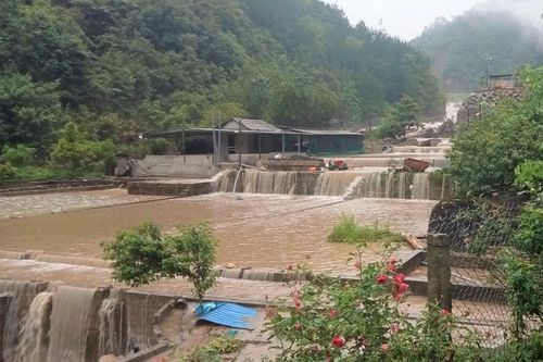 Lũ quét cuốn trôi hàng chục nghìn con cá tầm ở Lai Châu