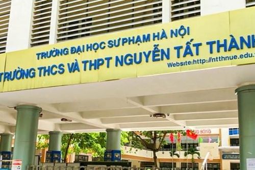 Điểm chuẩn vào lớp 6 của Trường THCS & THPT Nguyễn Tất Thành