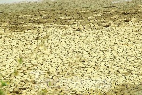 Nắng nóng khốc liệt, nhiều hồ đập ở Nghệ An cạn trơ đáy