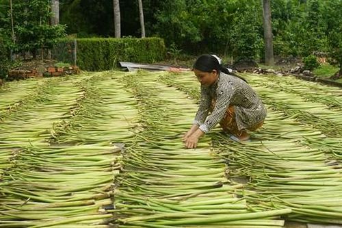 Bayer Việt Nam hỗ trợ nâng cao đời sống người dân vùng sâu Hậu Giang