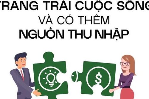 Cứ 5 người Việt thì có 4 người làm thêm nghề tay trái để trang trải cuộc sống