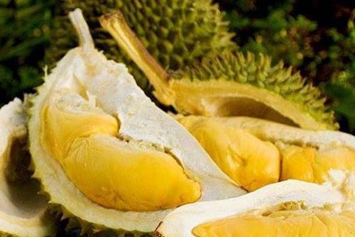 Công dụng ít người biết của sầu riêng
