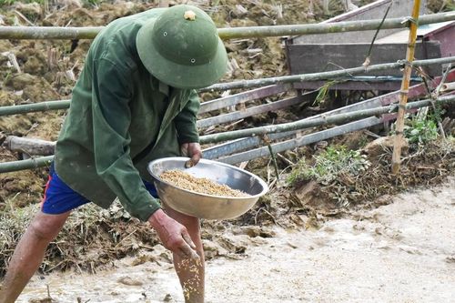 Nắng hạn kéo dài thiếu nước tưới, nông dân vùng cao Nghệ An chưa thể gieo cấy lúa vụ mùa