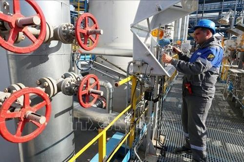 Tổng thống Nga phê chuẩn thỏa thuận cung cấp khí đốt cho Trung Quốc