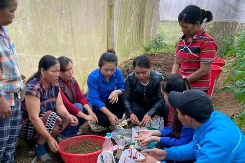 Công nghệ vi sinh bản địa IMO về với phụ nữ Pa Cô ở A Lưới