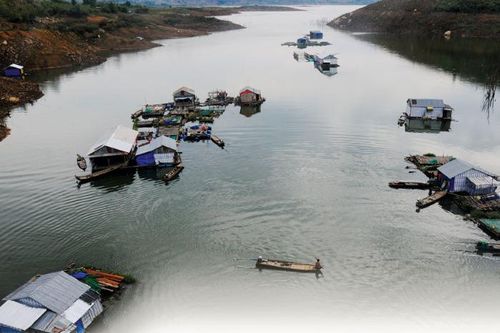 Những mái nhà tha thiết trôi...