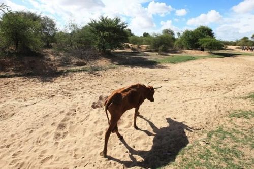 Hạn hán đang dẫn đến một cuộc khủng hoảng thủy điện ở Zimbabwe