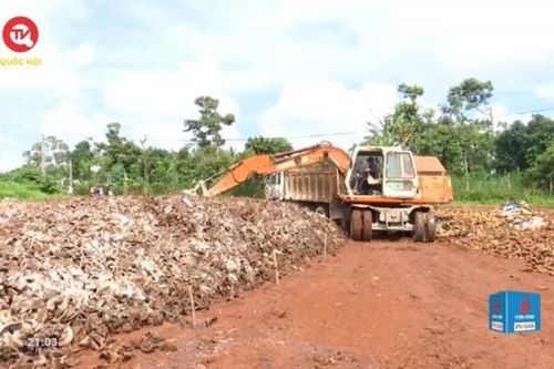 Chương trình truyền hình COP 26