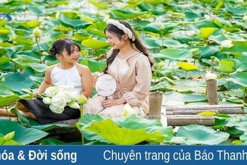 Ngát hương mùa sen tháng 6