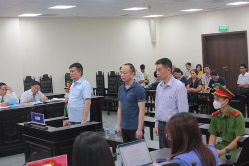 Chỉ đạo bán hàng qua các công ty 'sân sau', cựu chủ tịch Veam lãnh án 11 năm tù
