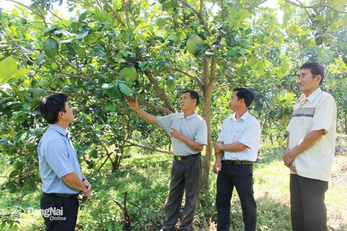Đảng bộ huyện Định Quán: Nỗ lực hoàn thành các mục tiêu đột phá